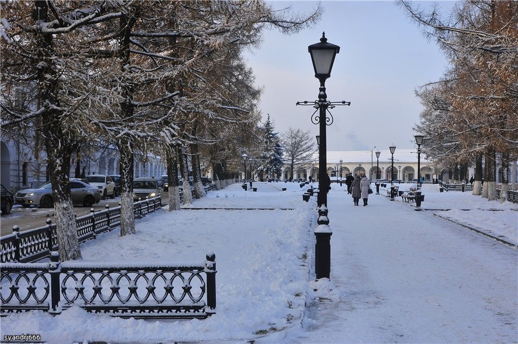 Кострома в декабре. Кострома город зима. Кострома центр города зимой. Кострома центр зима. Кострома зима площадь мира.